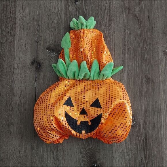 Dog Pumpkin Costume Small - Picture 1 of 6